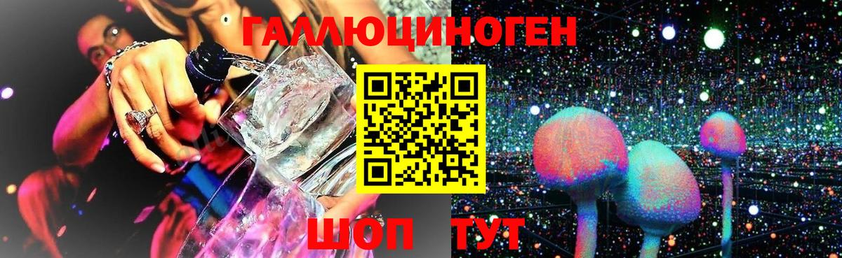 Галлюциногенные грибы GOLDEN TEACHER Ялта